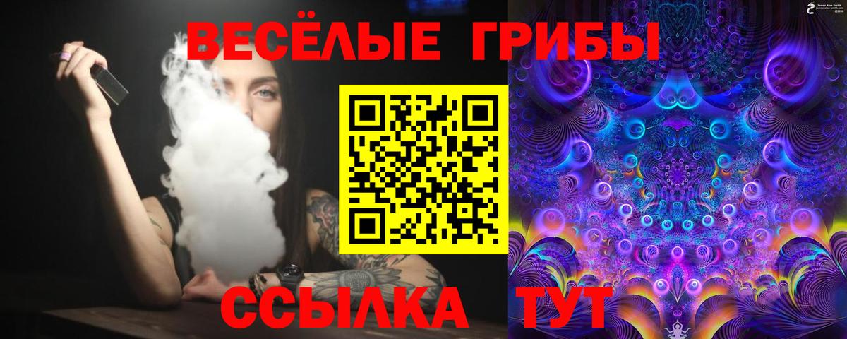 Ростов Великий  Псилоцибиновые грибы Psilocybine cubensis  Вход с VPN 