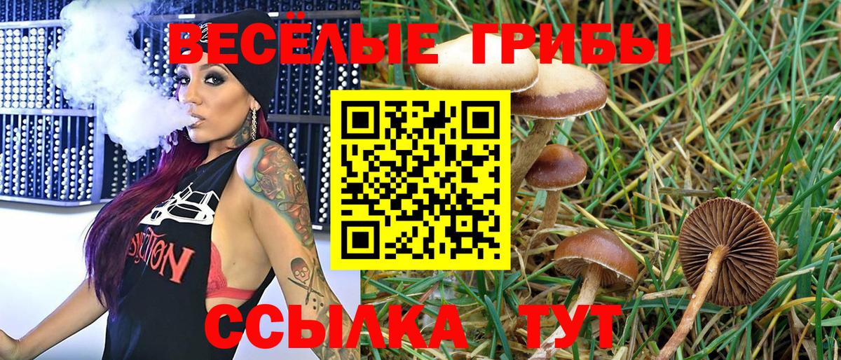 Галлюциногенные грибы Cubensis Ростов Великий